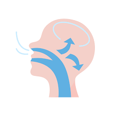 The diagram illustrates airflow pathways for a mouth breather in a human head side view, with arrows showing direction from nose and mouth toward the brain. This is part of a study by Chauncey Orthodontics in Henderson, NV.